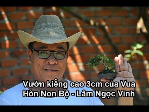 #07 Vườn cảnh tí hon cao 3 cm của vua hòn non bộ Lâm Ngọc Vinh | Du Lịch Bụi | Zen Nguyễn 2019