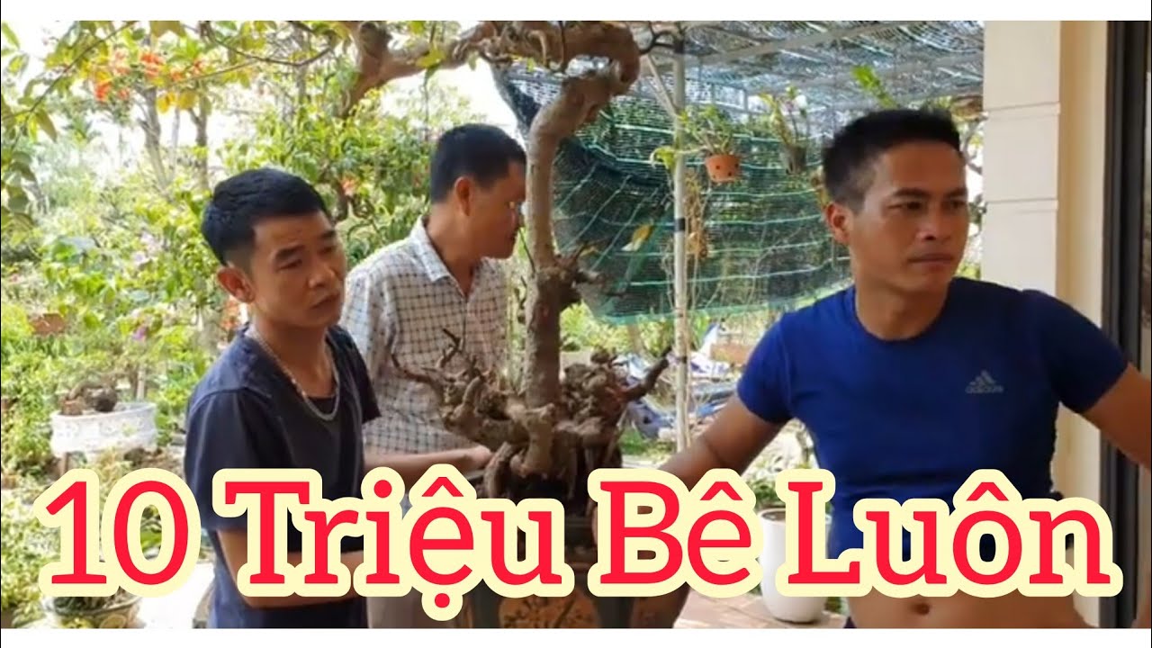 10 triệu bê luôn về Thái Bình giữa trưa hè oi bức.