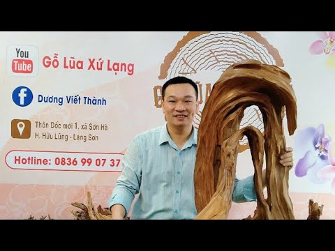 13/5/2020Gỗ lũa ghép lan nghệ thuật 0976233488, phong lan rừng