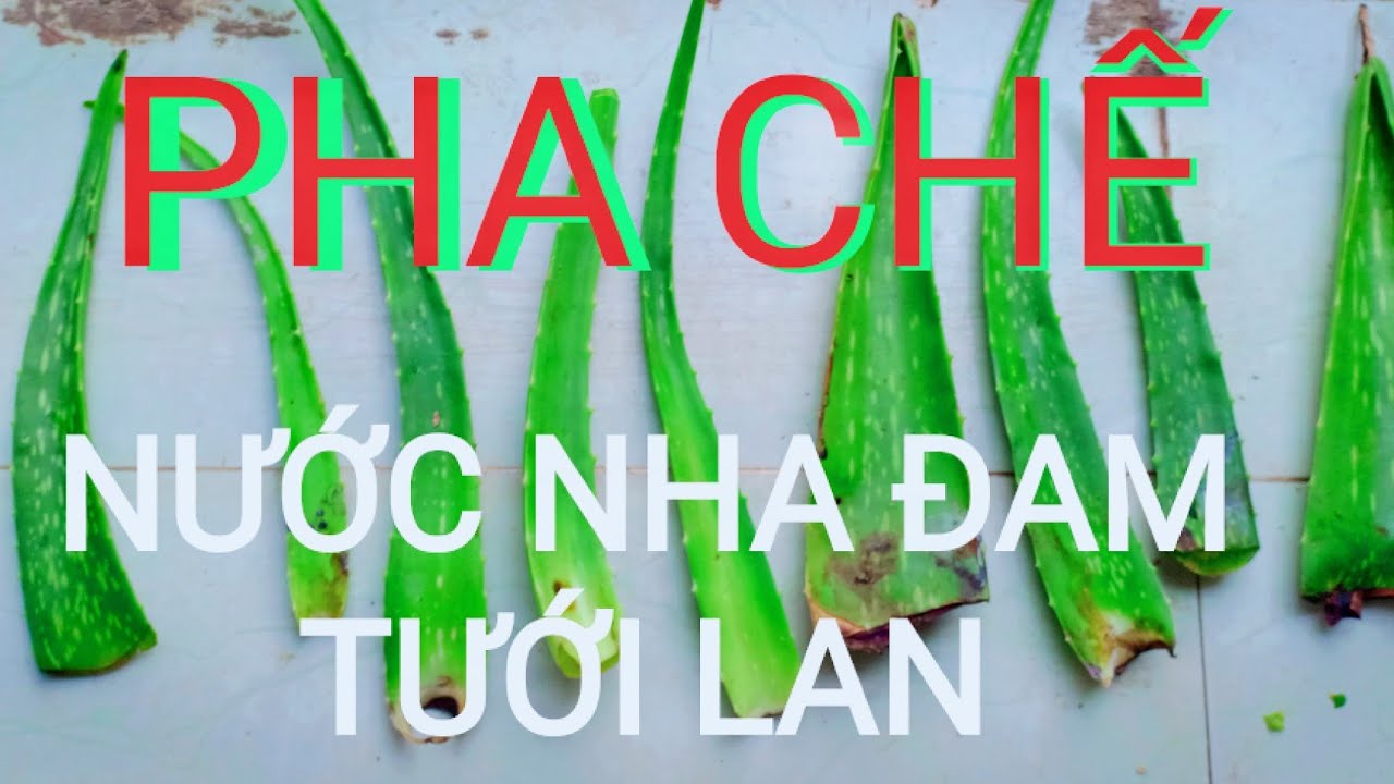 Cây cảnh Hoa lan và - Cách pha chế nước Nha Đam tưới Lan rừng với cây trồng