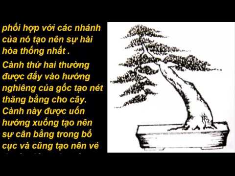 Bonsai handmade sadec Các dạng thân chính bonsai ll phần 2 THÂN NGHIÊN  THÂN GẤP KHÚC