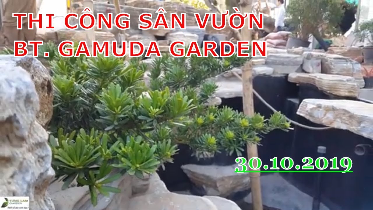 Thi công trồng cây trang trí sân vườn hồ cá Koi biệt thự Gamuda ngày 30.10.2019