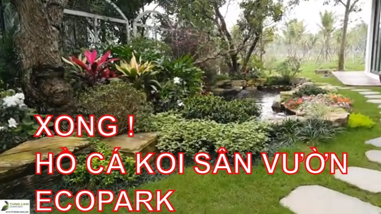 Hoàn thiện trang trí sân vườn & hồ cá Koi Park River Ecopark ngày 8/3/2019