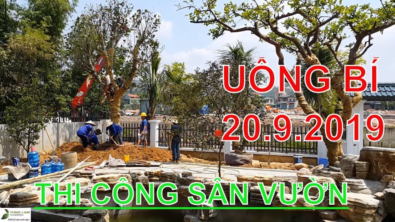 Trồng cây Trang trí Hồ cá Koi & Sân vườn nhà bác Việt ở Quảng Ninh, ngày 20.9.2019