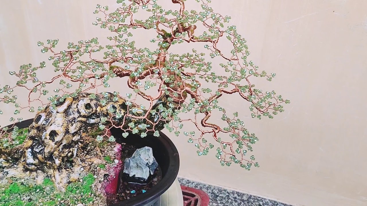 Bonsai nghệ thuật trưng bày