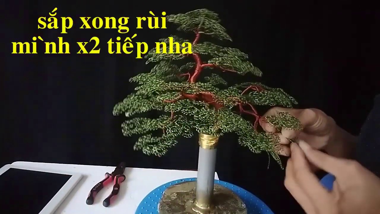 Bonsai trực 2 cây giống nhau ? bonsai handmade sadec