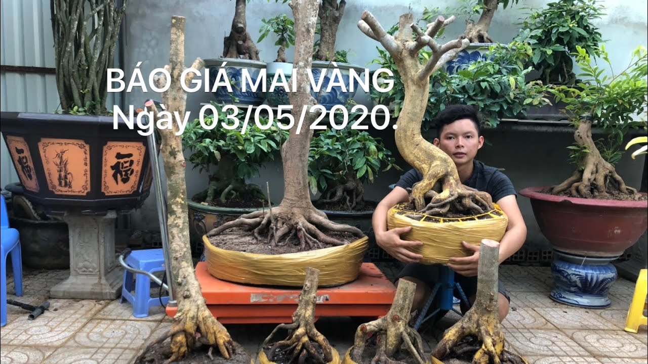 BÁO GIÁ MAI VÀNG CẦN THƠ NGÀY 03/05/2020. SĐT: 0939016808.