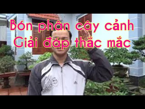 Bón phân cho cây cảnh - kết quả sau 15 ngày và một số lưu ý về bón phân và sâu bệnh.