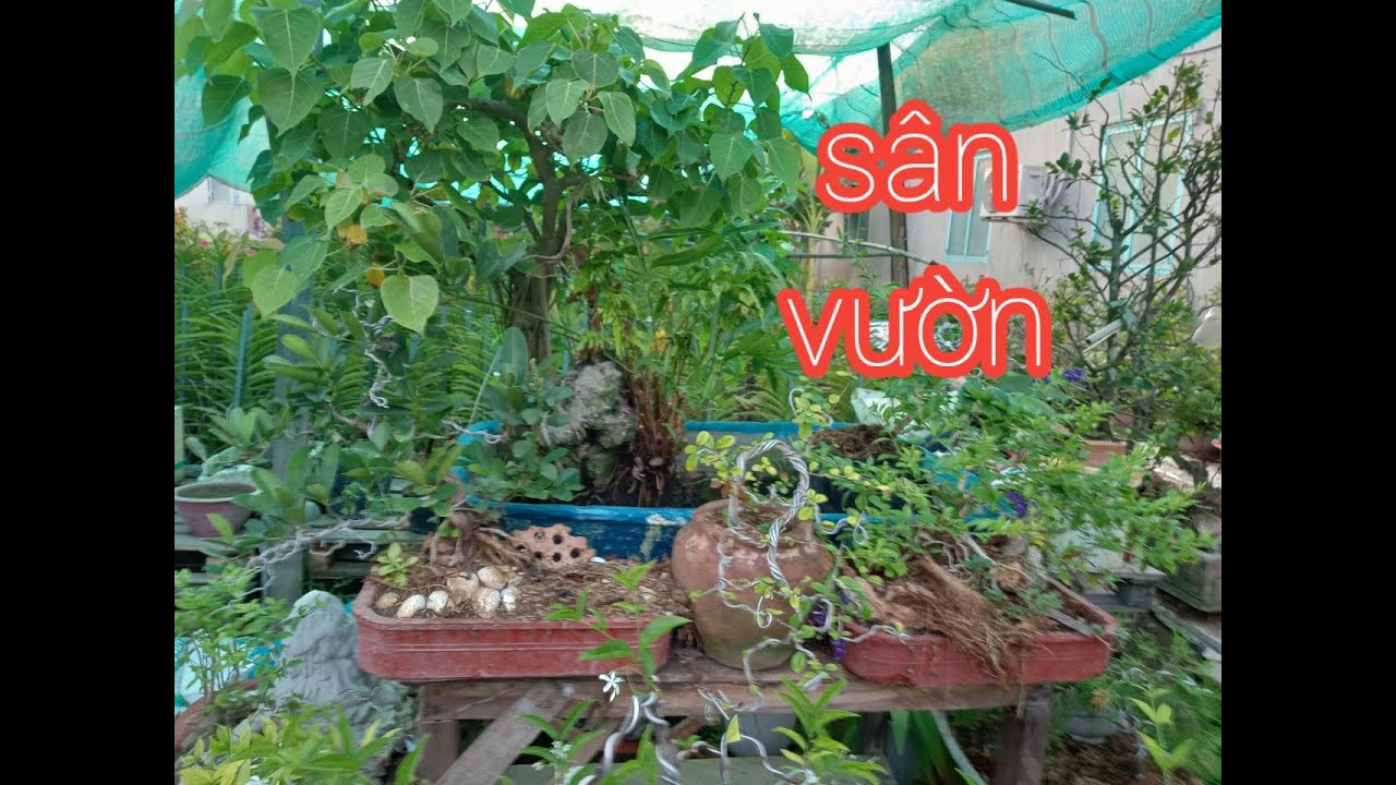 Bố trí lại một phần sân vườn