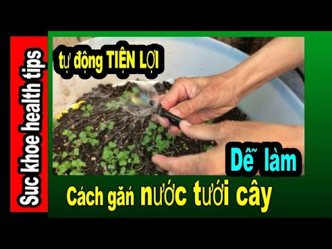 Cách gắn NƯỚC TƯỚI CÂY tự động DỄ LÀM, Drip Irrigation System Installation, Convenience #214