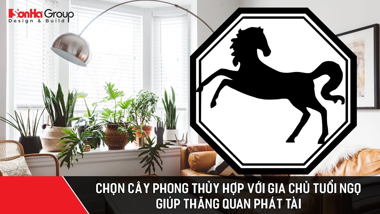 Chọn cây phong thủy hợp với gia chủ tuổi Ngọ giúp thăng quan phát tài