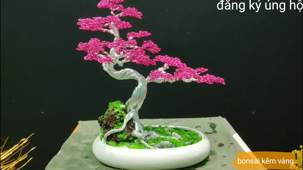 Cách vào chậu cho cây bonsai dây đồng(bonsai handmade)