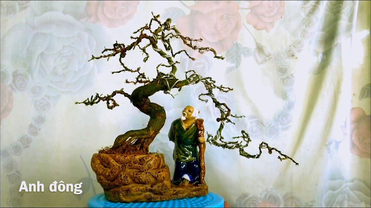 Cây bonsai dáng trực phá cách