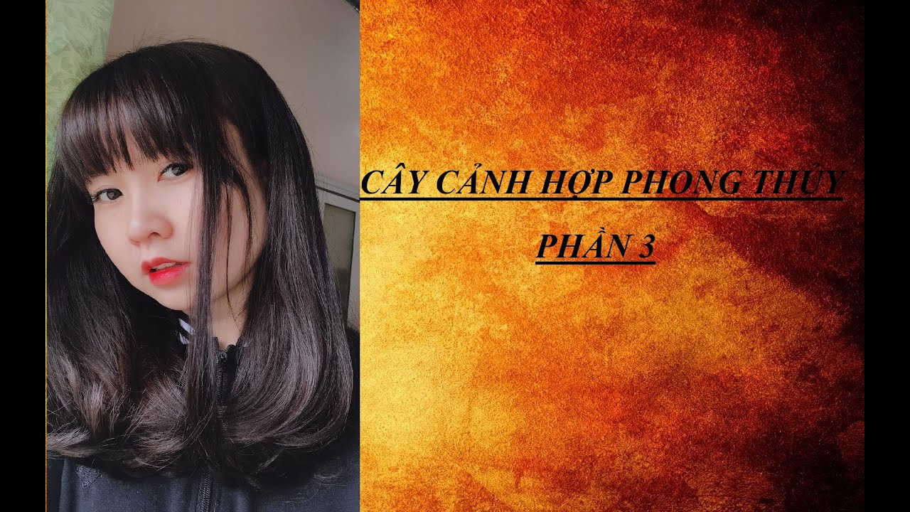 Cây cảnh hợp phong thủy Phần 3