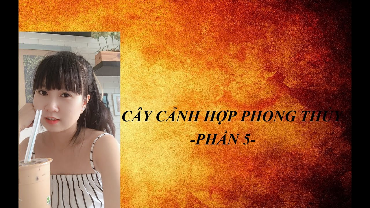 Cây cảnh hợp phong thủy Phần 5