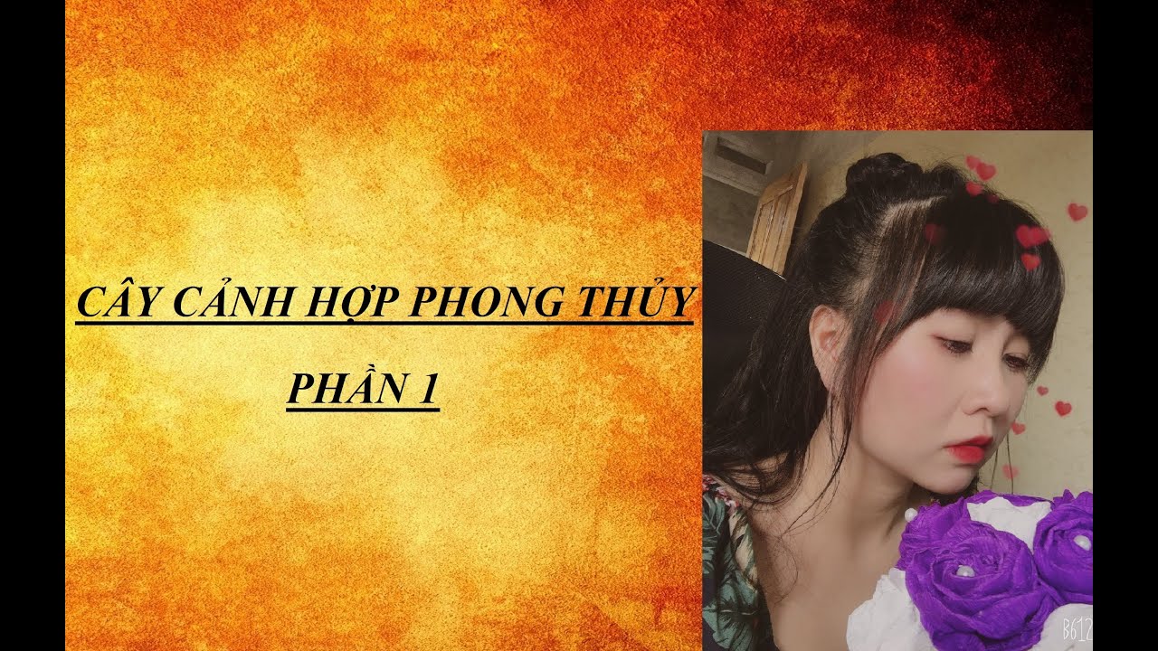 Cây cảnh phong thủy Phần 1