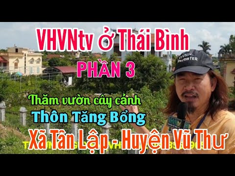 Công nghệ 4.0 ở vườn cây cảnh thôn Tăng Bổng, xã Tân Lập, huyện Vũ Thư, tỉnh Thái Bình (Phần 3)