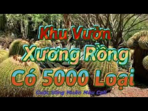 || DERSERT GARDEN || KHU VƯỜN XƯƠNG RỒNG CÓ 5000 LOẠI ||