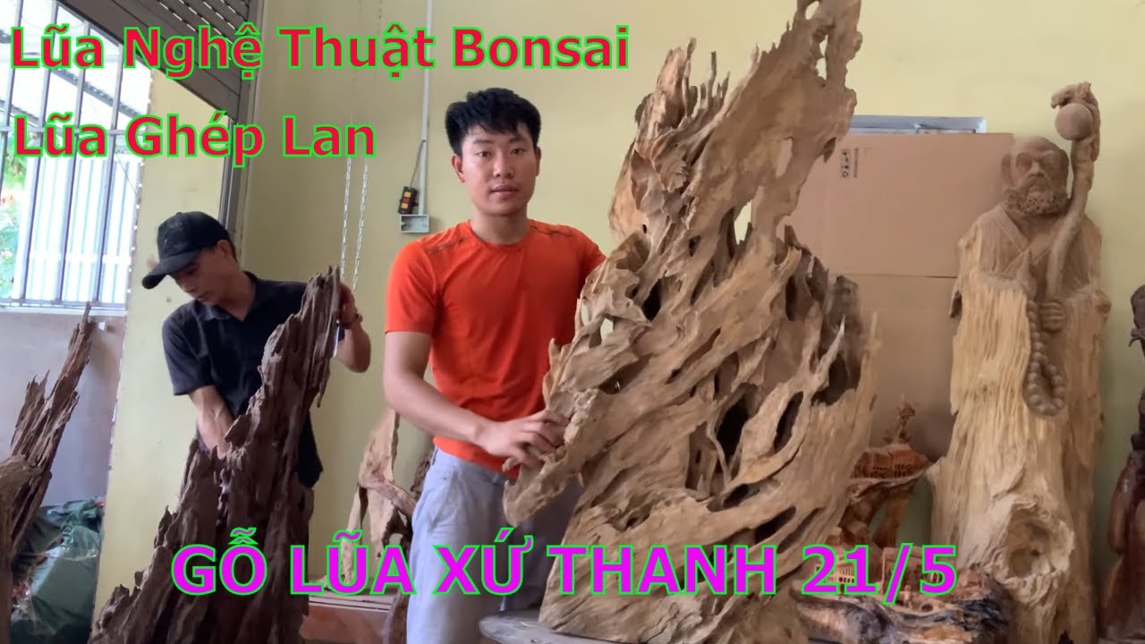 GỖ LŨA XỨ THANH 21/5 Bán Lũa Gỗ Nghệ Thuật-Trưng Bày_Lũa Bonsai_Lũa Ghép Lan_0987 415517