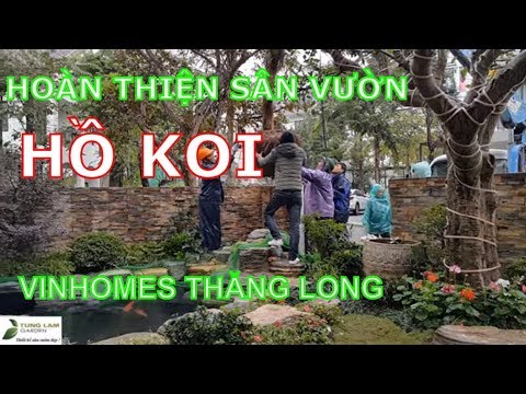 Hoàn thiện trang trí sân vườn & hồ cá Koi nhà chị Linh, biệt thự Vinhomes Thăng Long