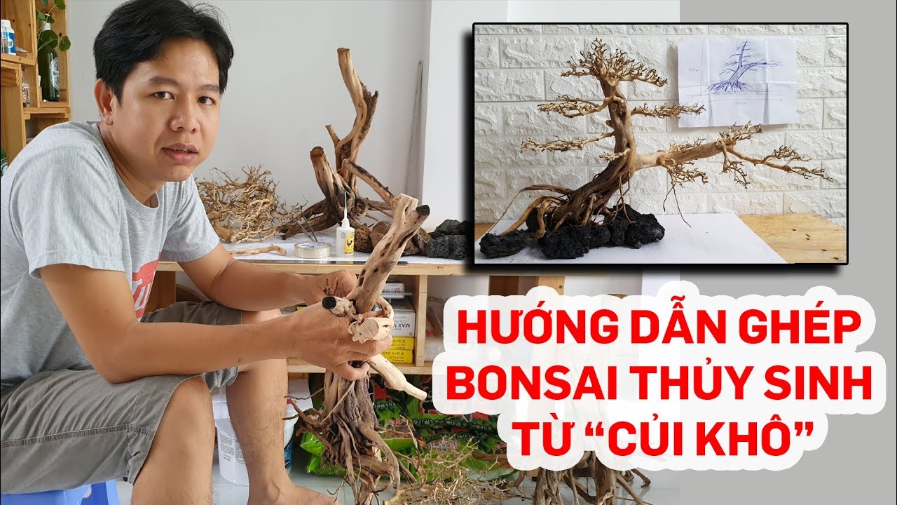 Hướng dẫn ghép lũa bonsai thủy sinh đẹp từ củi khô - Quoidecor