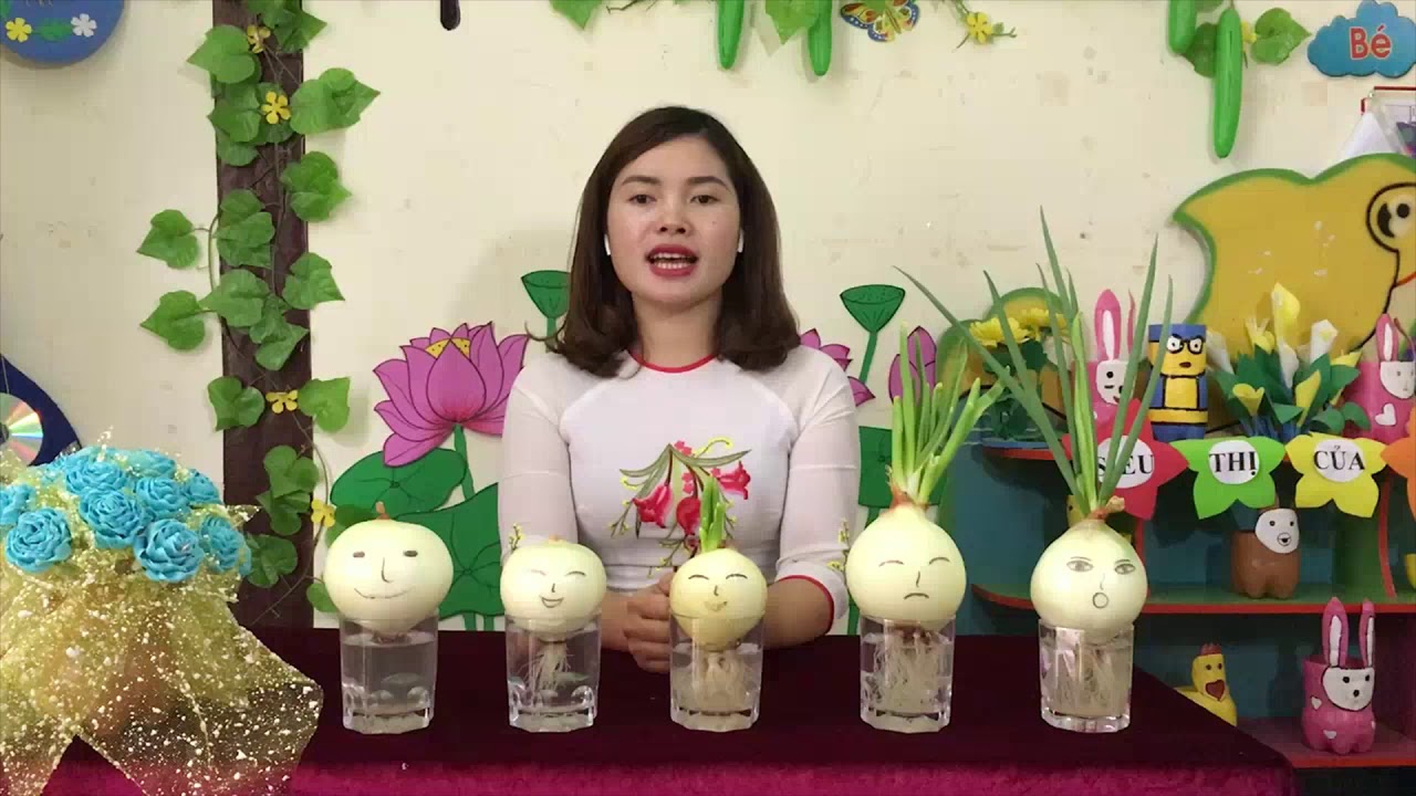 Hướng dẫn trồng cây bằng phương pháp thủy sinh - Cô Giang Thanh, Trường MN PiToong, Mường La, Sơn La