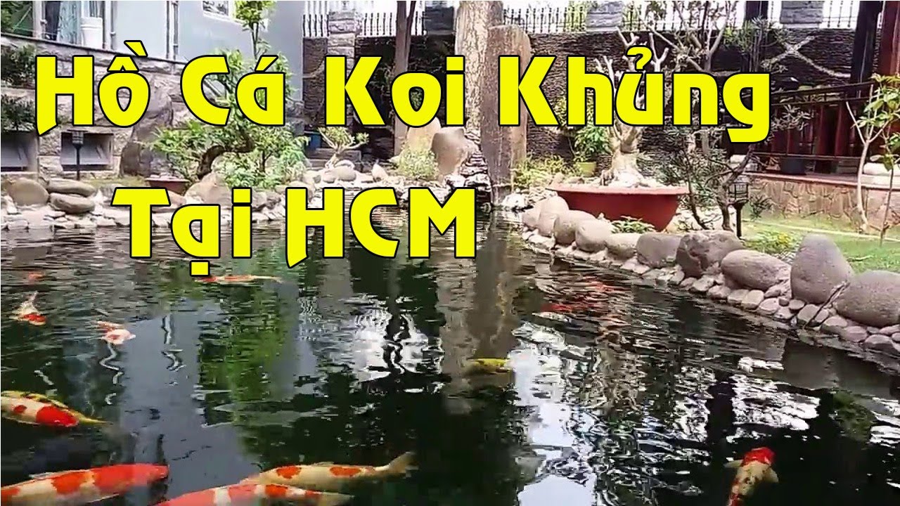 Hồ Cá Koi Siêu To Khổng Lồ, Biệt Thự Sân Vườn Đẹp | Sân Vườn Đẹp