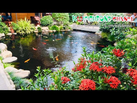 Hồ cá koi đẹp tiểu cảnh sân vườn | Beautiful Backyard Fish Pond | Koi Fish Pond Chanel