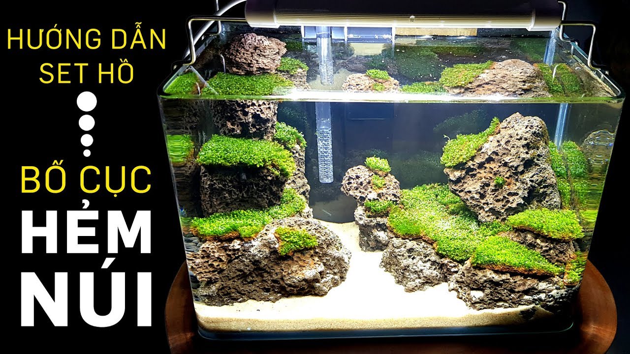 Hồ thủy sinh đẹp với bố cục hẻm núi đá & rêu minifiss - Nano Aquarium Setup Step by Step - Quoidecor