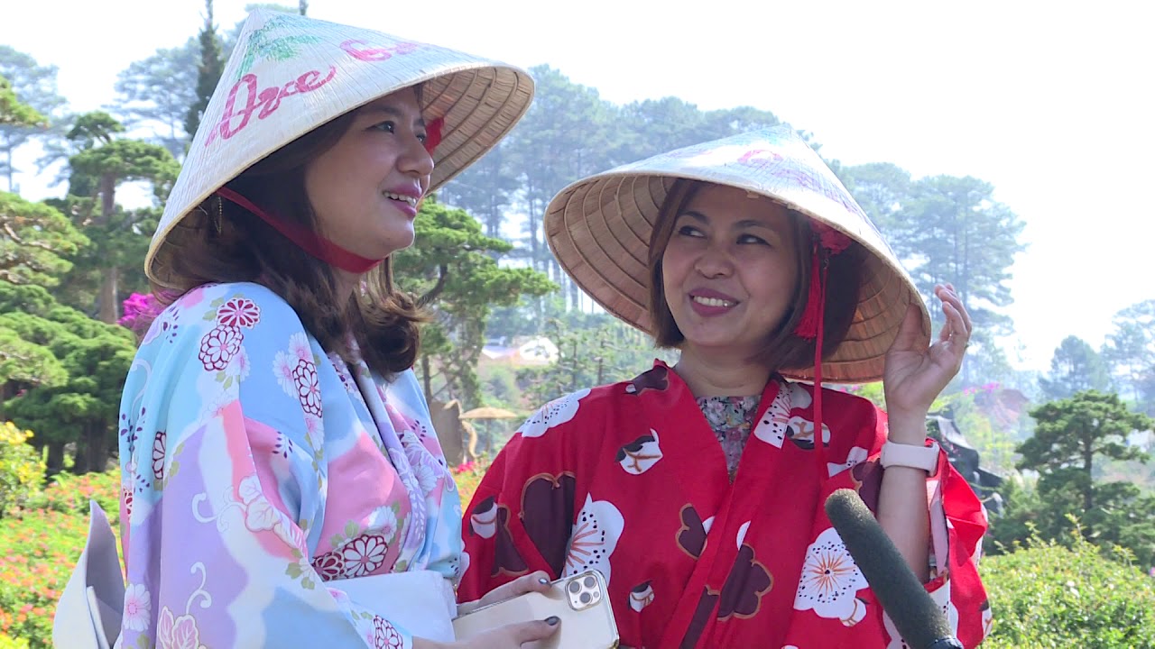 KHÔNG GIAN NGHỆ THUẬT BONSAI LÁ KIM