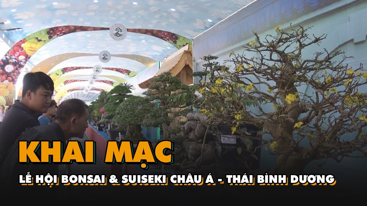 Khai mạc lễ hội Bonsai & Suiseki châu Á - Thái Bình Dương