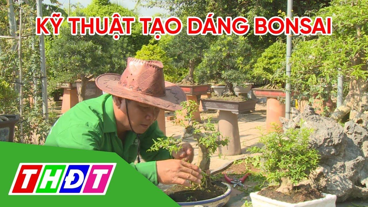 Kỹ thuật tạo hình cây cảnh bonsai | THDT