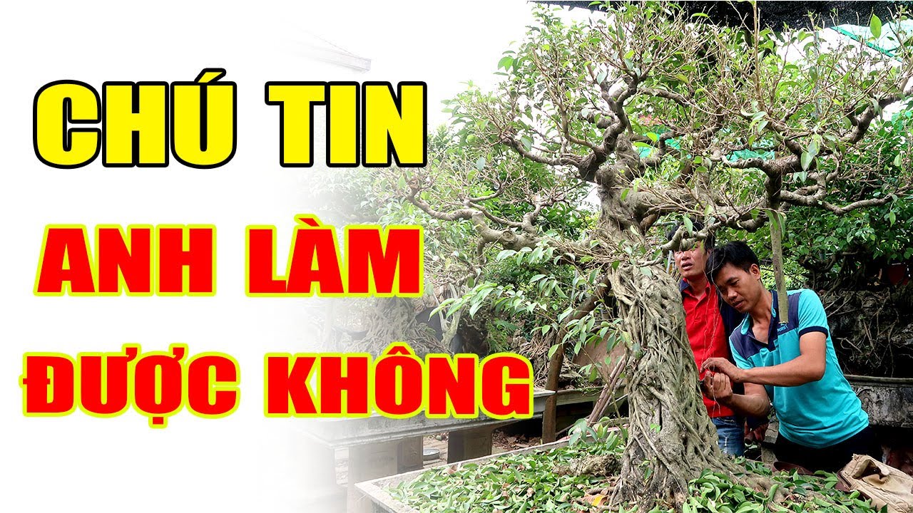 Làm những cây này mà ra tác phẩm đẹp quả thật là cao thủ