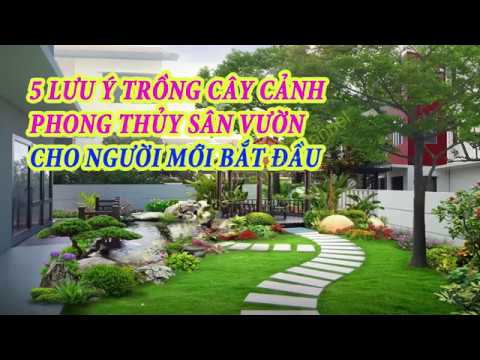 LƯU Ý TRỒNG CÂY CẢNH PHONG THỦY SÂN VƯỜN CHO NGƯỜI MỚI BẮT ĐẦU - English Sub