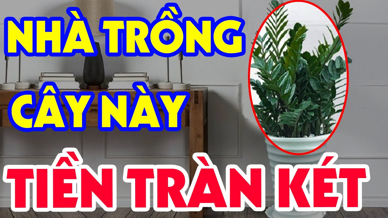 NGƯỜI GIÀU LUÔN ÂM THẦM Trồng 10 Loại Cây Này Để LỘC ĐẾN DỒI DÀO, TIỀN VÀO NHƯ NƯỚC