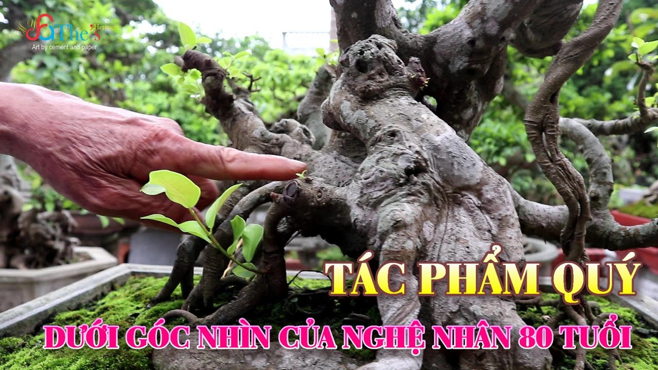 Nghe Cụ Ông 80 Tuổi Đam Mê Cây Từ Bé Giới Thiệu Nhiều Tác Phẩm Quý Tại Nhà Vườn Vũ Văn Cần Quá Đỉnh