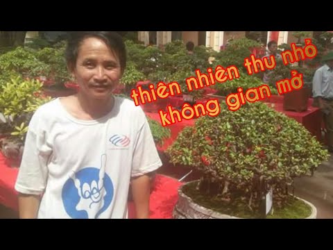 Nghệ thuật không gian sống