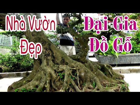 Nhà Vườn Đẹp Của Đại Gia Đồ Gỗ