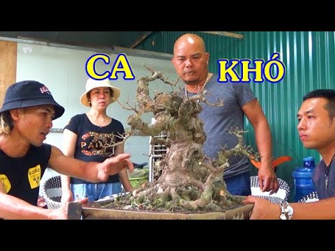 Những ca phẫu thuật khó thường mượn Thuận đồng nát. Đường đục, ghép rất nghệ thuật.