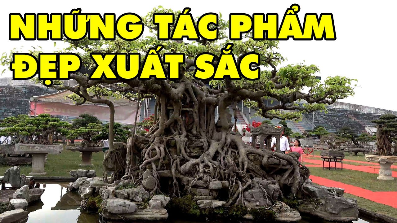 Những cây cảnh nghệ thuật đẹp xuất sắc nhất triển lãm Phúc Thọ 2019 (Phần 2)