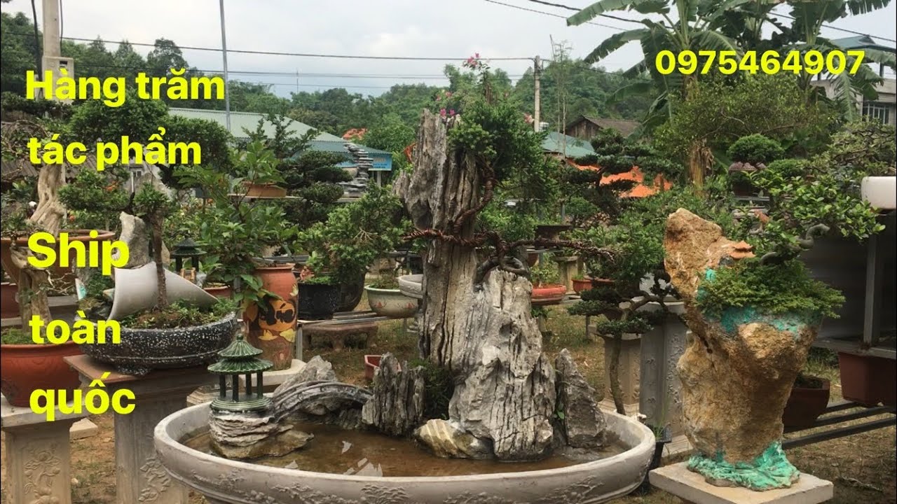 Những tiểu cảnh và cây bonsai mini của nhà vườn Long Nguyễn | SON 83