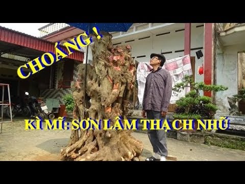 PHƯƠNG PHÁP TẠO DÁNG CÂY CẢNH nghệ thuật