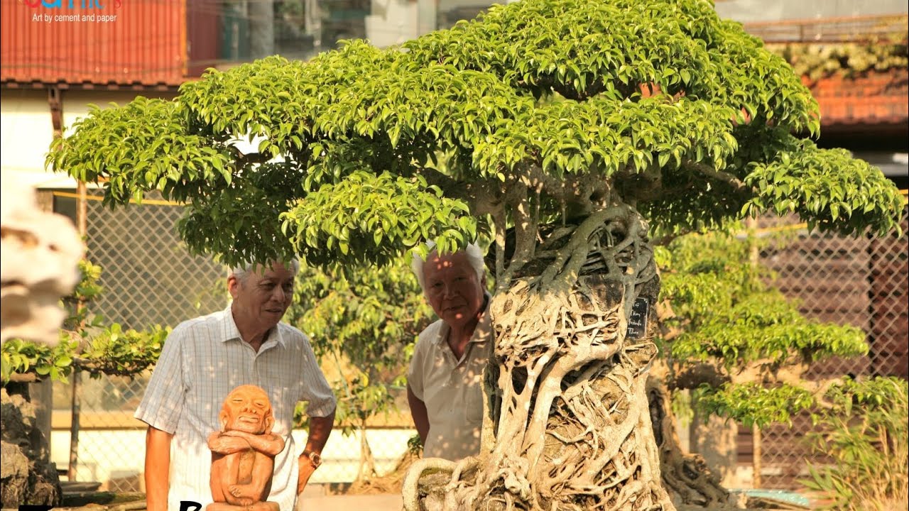 Part 1| Dân Chơi Cây Cảnh Không Xem Glip và Đến Giao Lưu Vườn Bonsai này Một Lần thì Thật Đáng Tiếc