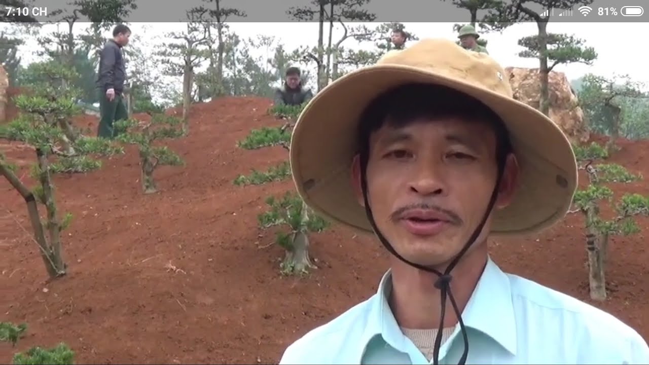 SH.2222.Bất ngờ gặp người chuyên sân vườn, tiểu cảnh non bộ,Bonsai đẹp Nguyễn Thủy,Ba Vì.Hà Nội