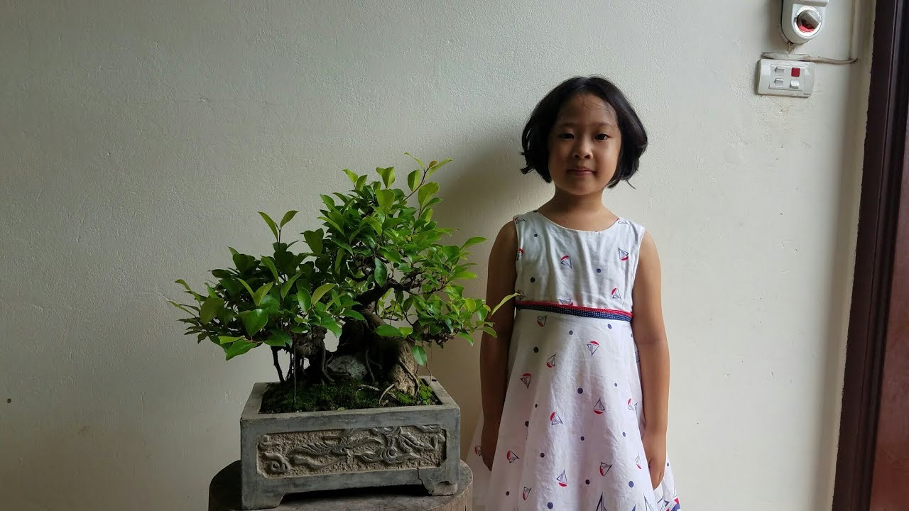 SH.2778.Thăm vườn cảnh Phong Lê Bonsai nghệ thuật mini giao lưu với các Bạn
