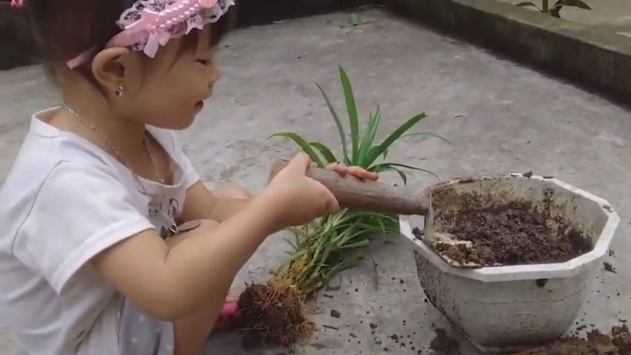 TIEU VY biết trồng hoa vào chậu cây cảnh vui nhộn NTN | TIEU VY Kids