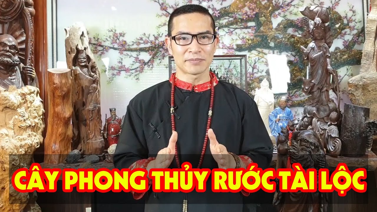 Thầy Phong Thủy HẢI ĐINH Hướng Dẫn Cách Tự Chọn Cây Phong Thủy Để RƯỚC LỘC VÀO NHÀ