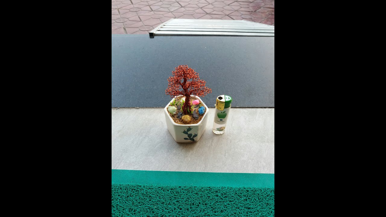 Thử sức với bonsai handmade siêu mini