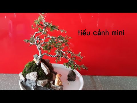 Tiểu cảnh mini đơn giản, dễ làm, ai cũng làm được