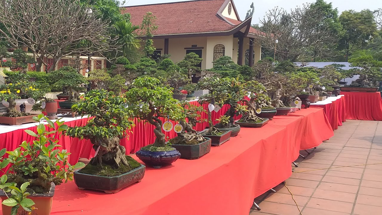 Triển Lãm Cây Cảnh Văn Giang 2019 (Video trực tiếp)